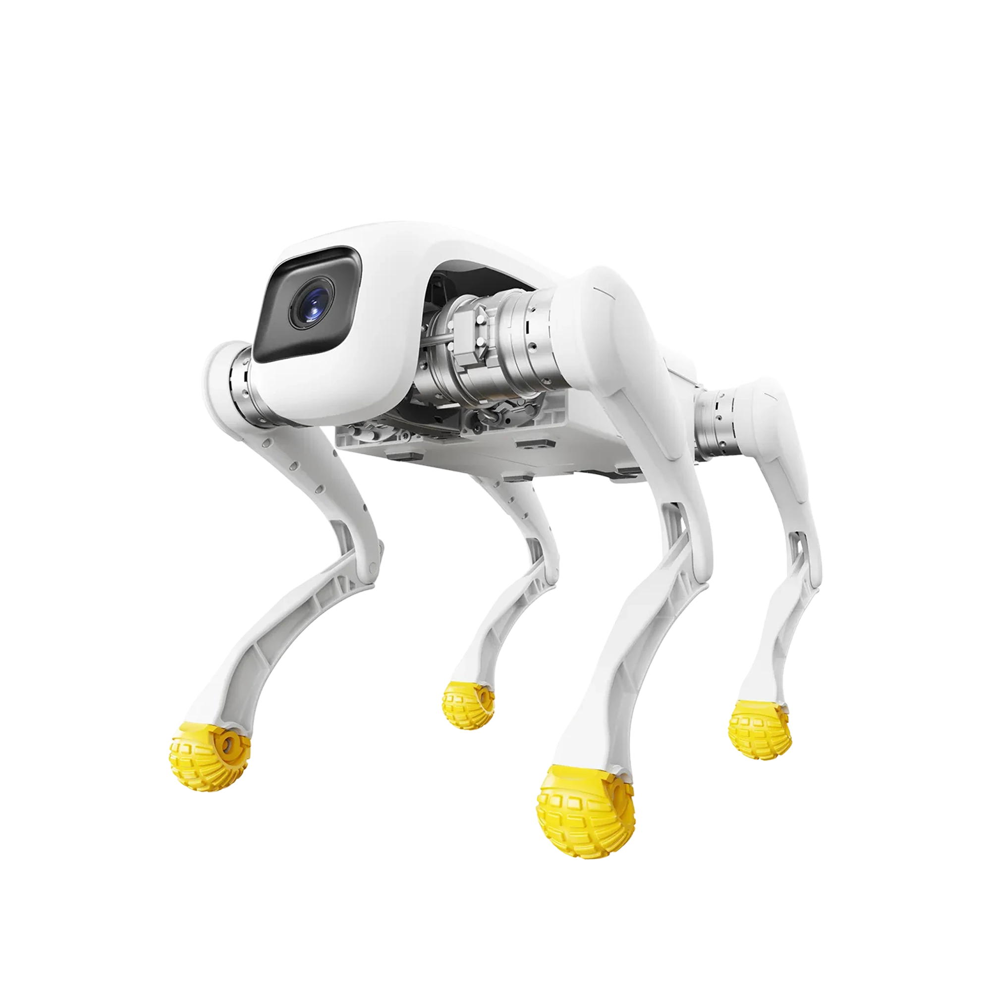 AGIBOT D1 EDU oktatási rendszer – AGIBOT D1 EDU alapplatform – illusztráció; a csomag összeállítása egyedi