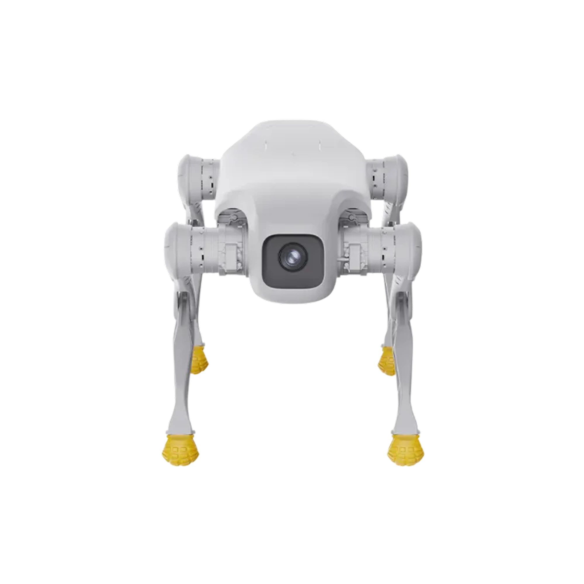 AGIBOT D1 EDU oktatási rendszer – AGIBOT D1 EDU alapplatform – illusztráció; a csomag összeállítása egyedi
